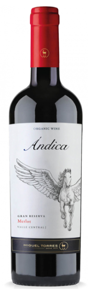 Merlot Torres Andica Organic Chile Merlot Torres Andica Organic Chile